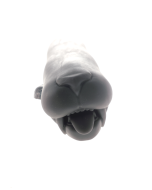 Lilly Sabertooth