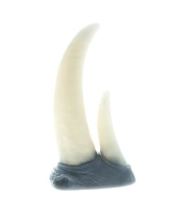 Rhino Horn (S) 