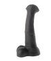 Angus (M)