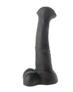 Angus (M)