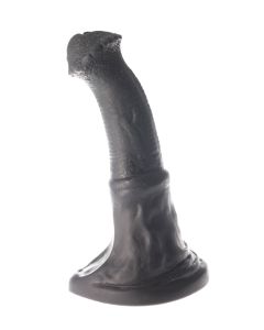Kolton das Pferd